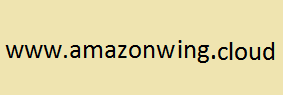 AmazonWing