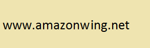 AmazonWing