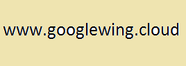 GoogleWing