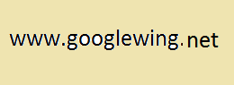 GoogleWing