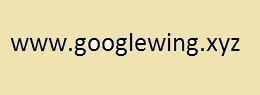 GoogleWing